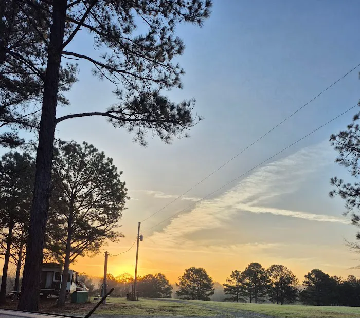 Bama Bison RV Park & Farm Picture 8