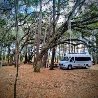 Hanscombe Point Primitive camp ground ico
