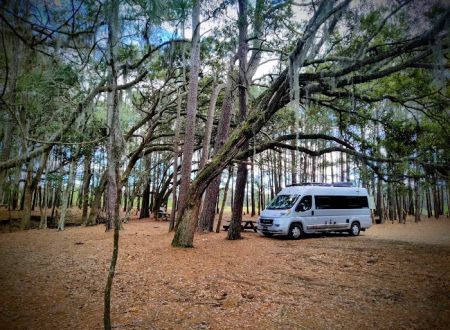 Hanscombe Point Primitive camp ground