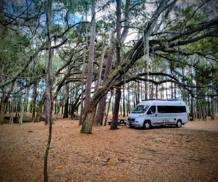 Hanscombe Point Primitive camp ground