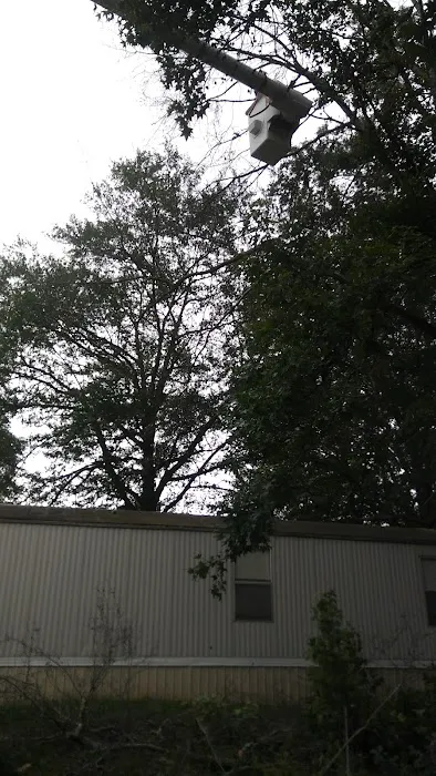 Shady Oak Trailer Park Picture 3