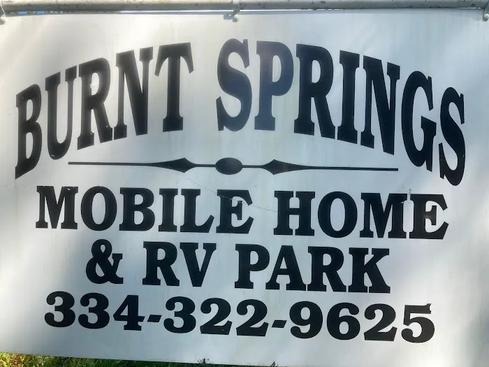 Burnt Springs RV Park Picture 4