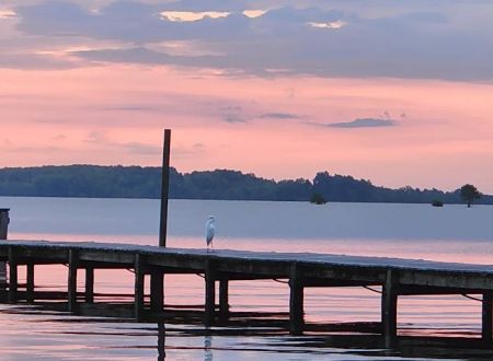 Rocks Pond campground & marina