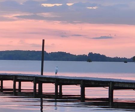 Rocks Pond campground & marina