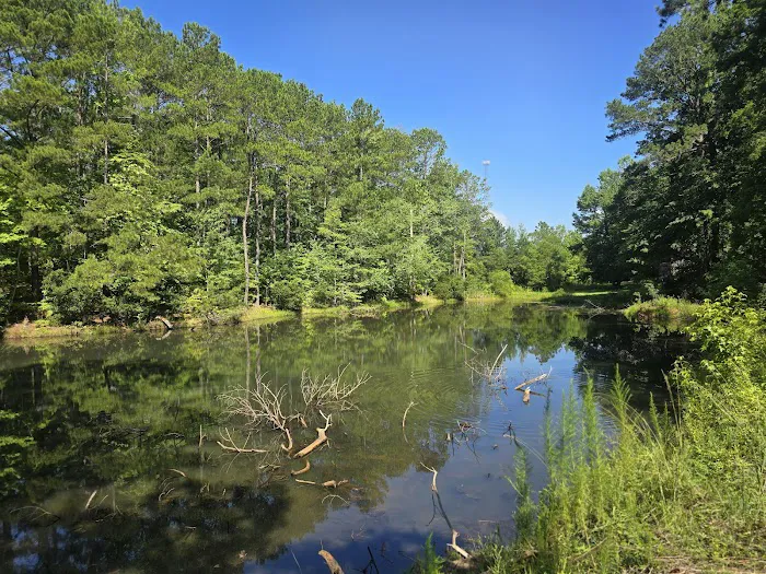 Lake Martin RV Park Picture 3