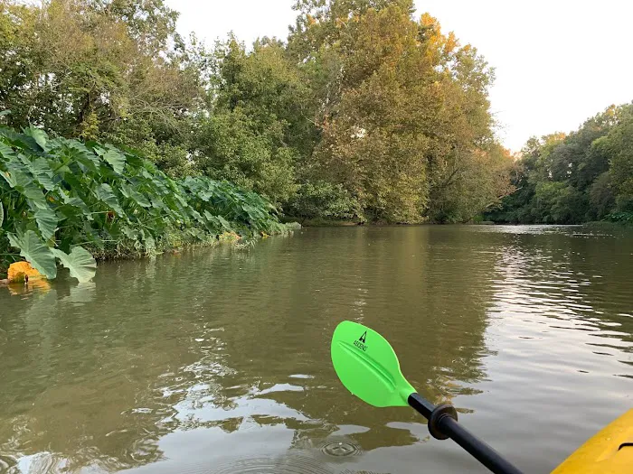 Choccolocco Creek Campground Picture 4