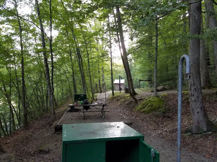 Alum Ford Campground Picture 2