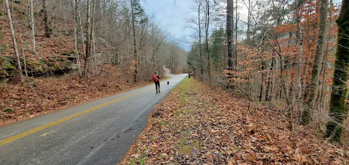 Alum Ford Campground Picture 1