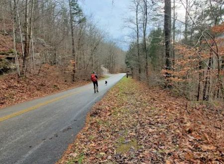Alum Ford Campground