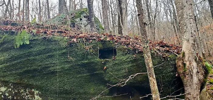 Alum Ford Campground Picture 6