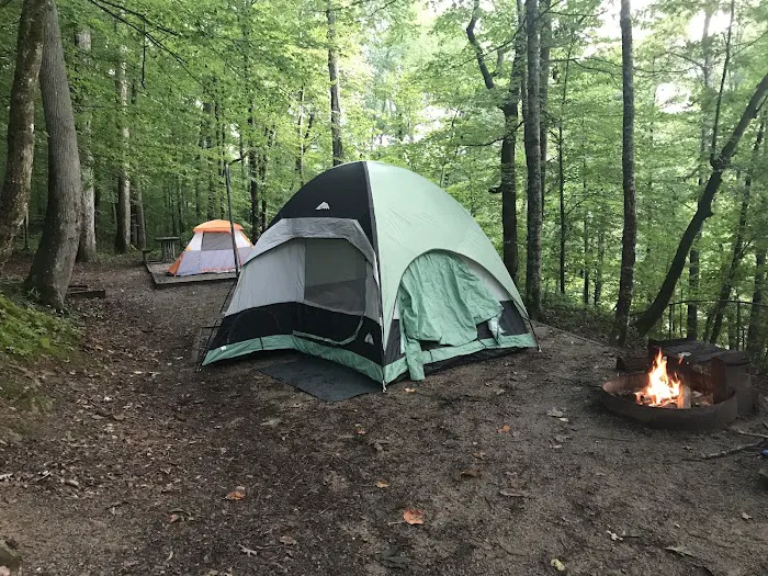 Alum Ford Campground Picture 9