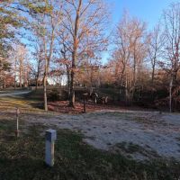 Bear Creek Horse Camp ico