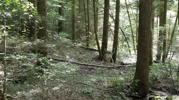 Bear Creek Horse Camp Picture 7