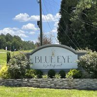 Blue Eye Waterfront Community: Logan Martin Lake ico
