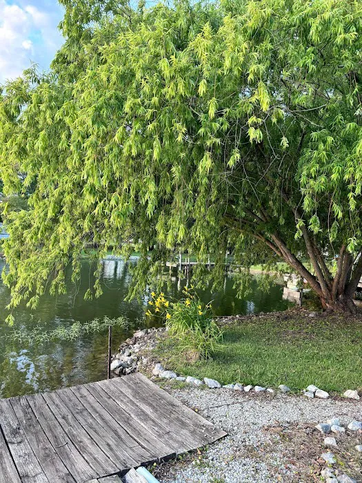 Blue Eye Waterfront Community: Logan Martin Lake Picture 5