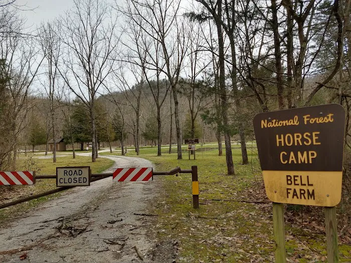 Bell Farm Horse Camp Picture 1