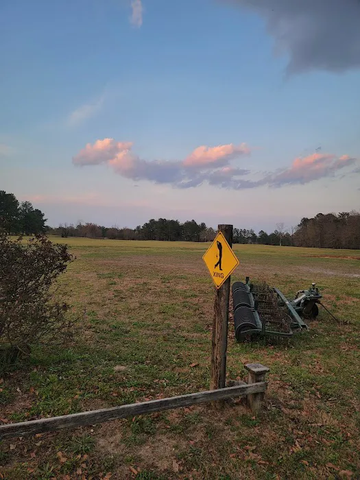 Woodland RV Resort & Campground Picture 7