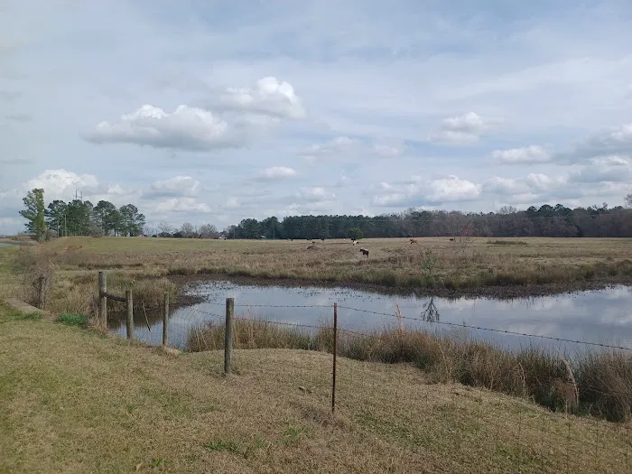 Two Horse Wagon RV Park Picture 2