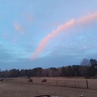 Two Horse Wagon RV Park ico