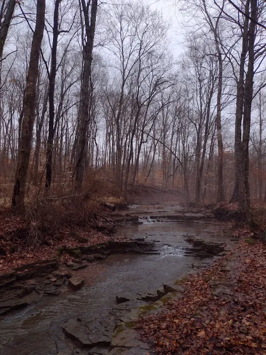 Indian-Celina Lakes Recreation Area Picture 5
