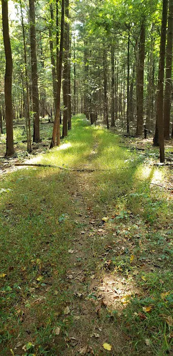 Indian-Celina Lakes North Face Campground Picture 5