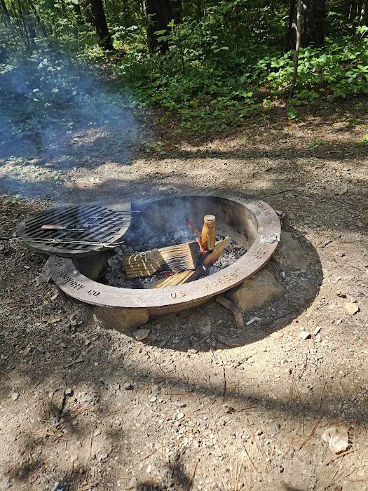 Indian-Celina Lakes North Face Campground Picture 9