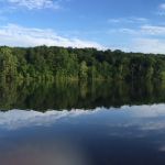Tipsaw Recreation Area