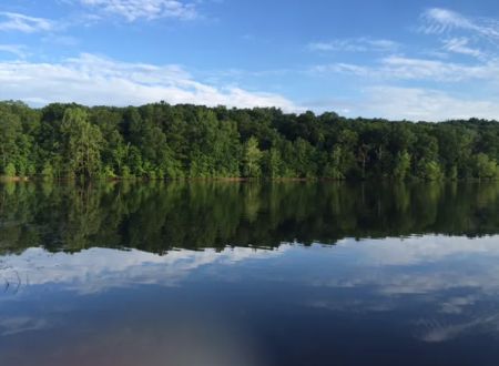 Tipsaw Recreation Area