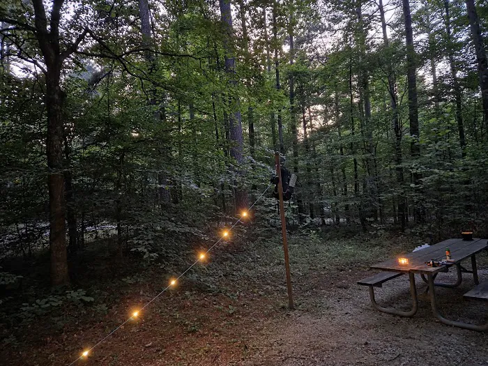 Tipsaw Recreation Area Picture 5