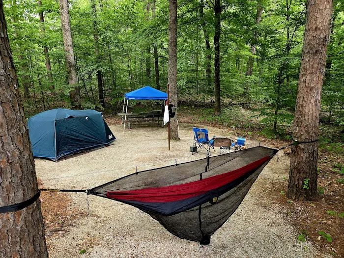 Tipsaw Recreation Area Picture 6