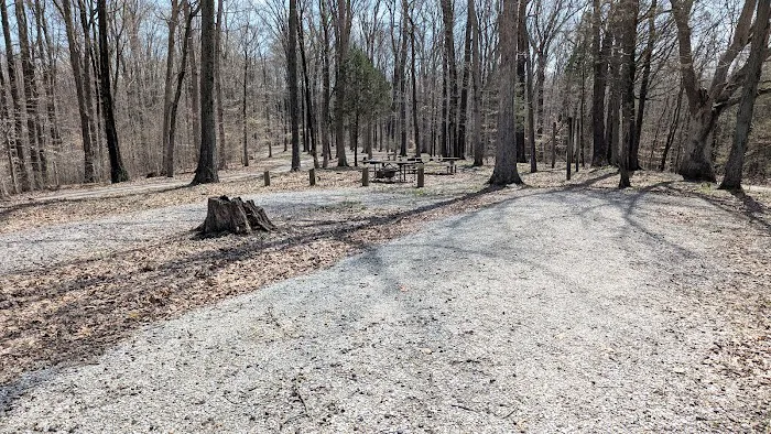 Hoosier National Forest Campground Picture 1