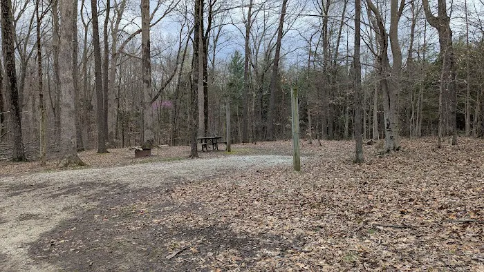 Hoosier National Forest Campground Picture 9