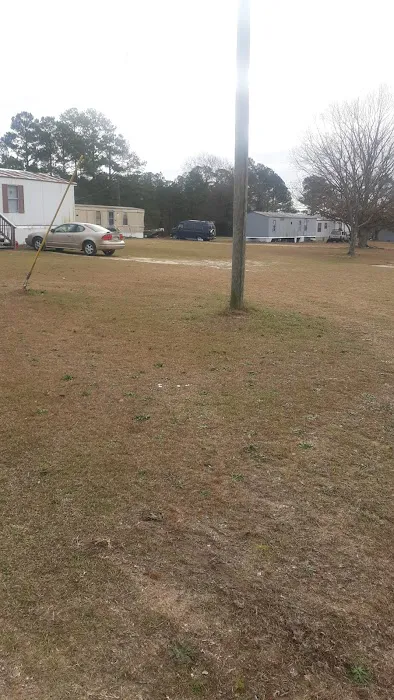 Plantation acres Picture 3