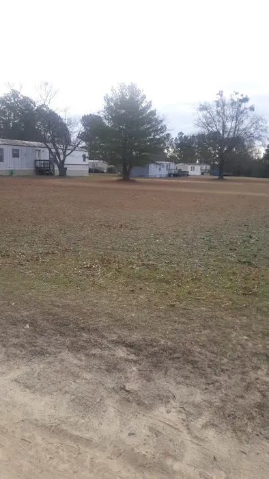 Plantation acres Picture 5