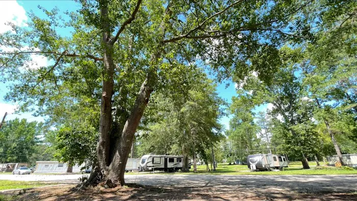 Home Carolina Mobile Court RV Park Sumter sc Picture 1
