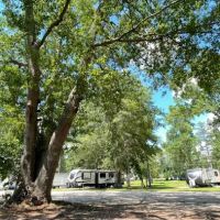 Home Carolina Mobile Court RV Park Sumter sc ico