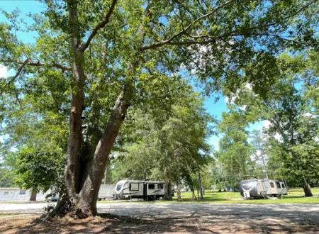Home Carolina Mobile Court RV Park Sumter sc