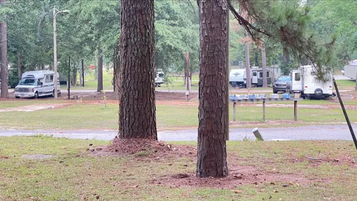 Home Carolina Mobile Court RV Park Sumter sc Picture 6