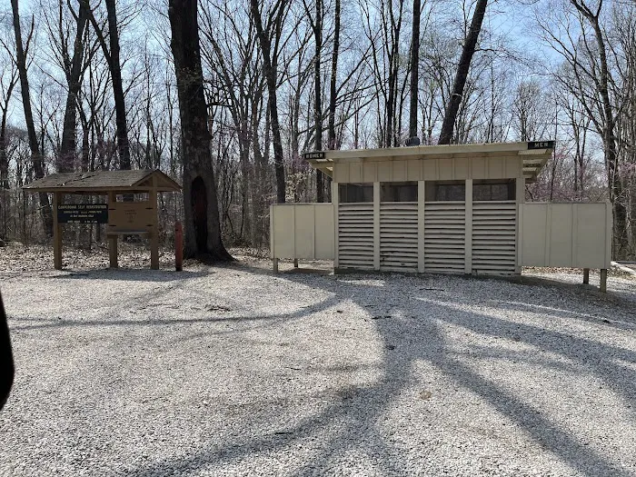 Martin State Forest Campground Picture 1
