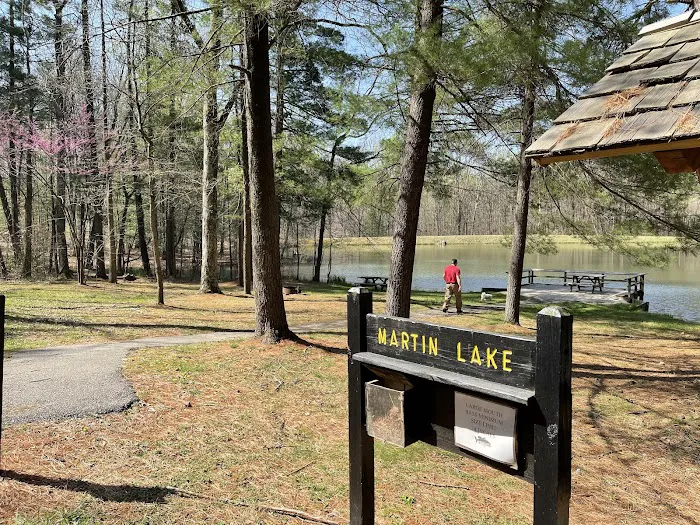 Martin State Forest Campground Picture 3