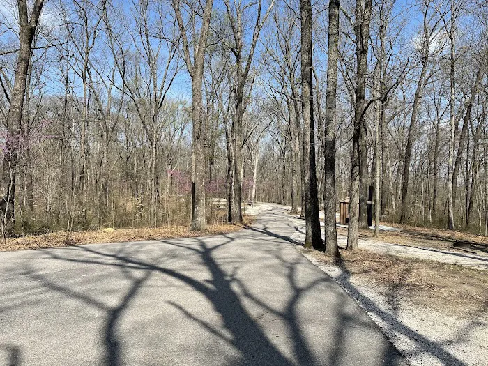 Martin State Forest Campground Picture 2