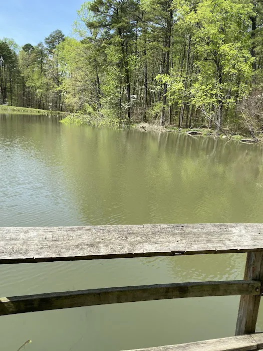 Martin State Forest Campground Picture 5