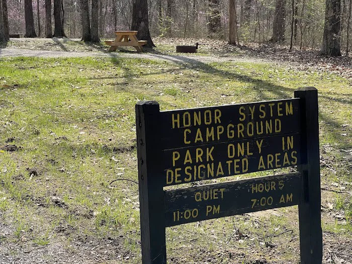 Martin State Forest Campground Picture 7