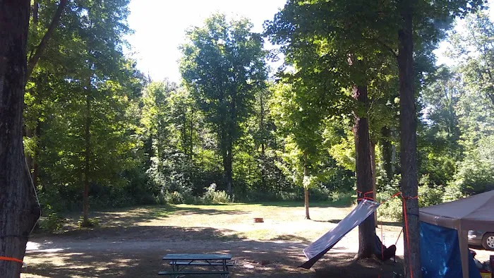 Big Bend Family Campground Picture 5