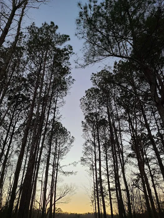 Fly South RV Campground Picture 10