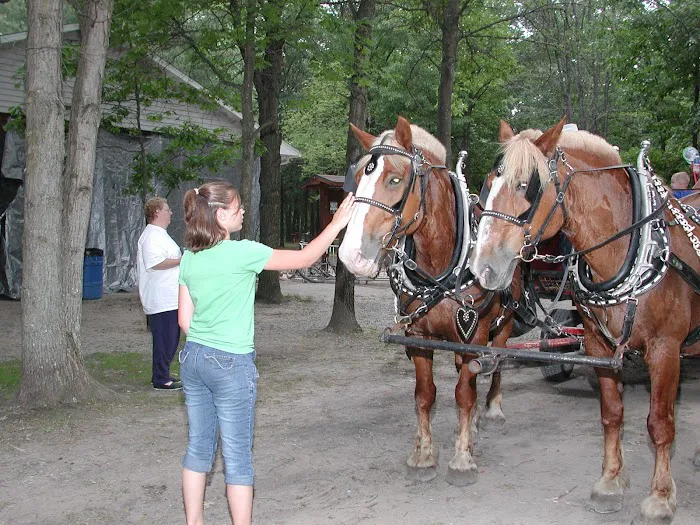 Wilderness Resort Picture 7