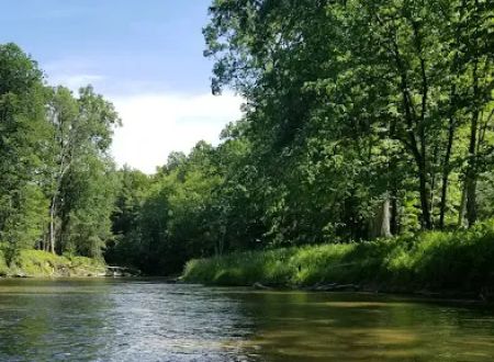 Riverbend Campground And Canoe Rental | Camping, Canoeing, Kayaking, and Tubing On The Rifle River!