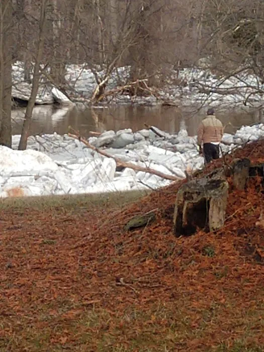 Crystal Creek Campground Picture 9