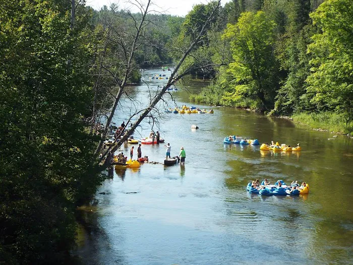 River View Campground & Canoe Livery Picture 4