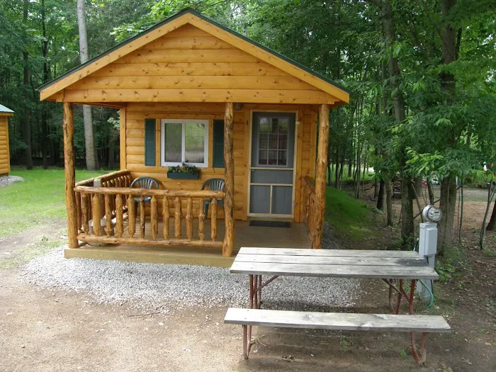 River View Campground & Canoe Livery Picture 5